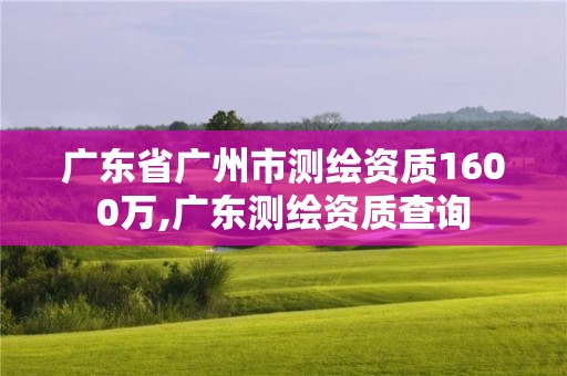 廣東省廣州市測繪資質1600萬,廣東測繪資質查詢