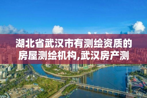 湖北省武漢市有測繪資質的房屋測繪機構,武漢房產測繪