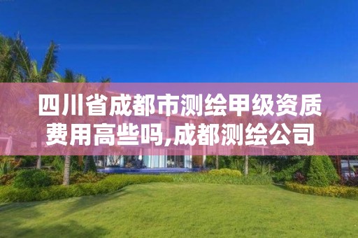 四川省成都市測繪甲級資質費用高些嗎,成都測繪公司收費標準。