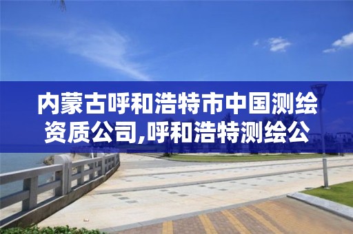 內蒙古呼和浩特市中國測繪資質公司,呼和浩特測繪公司排名