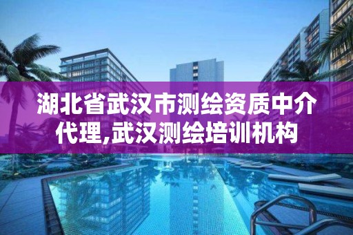 湖北省武漢市測繪資質(zhì)中介代理,武漢測繪培訓(xùn)機(jī)構(gòu)