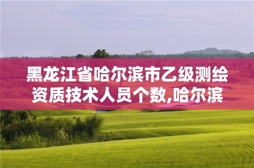 黑龍江省哈爾濱市乙級(jí)測繪資質(zhì)技術(shù)人員個(gè)數(shù),哈爾濱測繪局工資怎么樣。