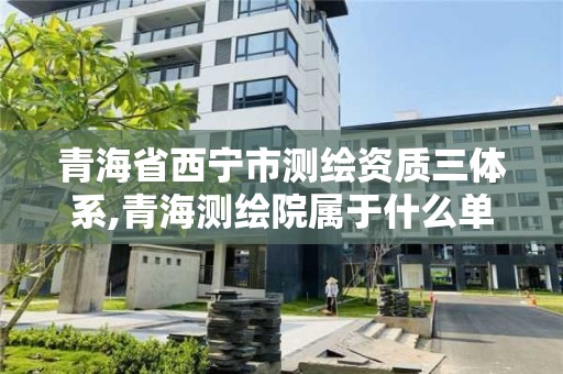 青海省西寧市測繪資質三體系,青海測繪院屬于什么單位