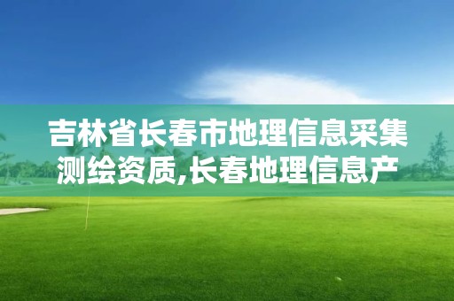 吉林省長春市地理信息采集測繪資質(zhì),長春地理信息產(chǎn)業(yè)園