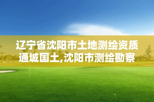 遼寧省沈陽市土地測繪資質(zhì)通城國土,沈陽市測繪勘察研究院