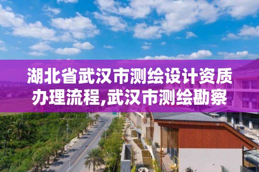 湖北省武漢市測繪設計資質辦理流程,武漢市測繪勘察設計甲級資質公司