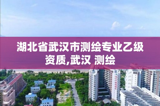 湖北省武漢市測繪專業乙級資質,武漢 測繪