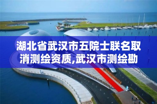 湖北省武漢市五院士聯名取消測繪資質,武漢市測繪勘察設計甲級資質公司。