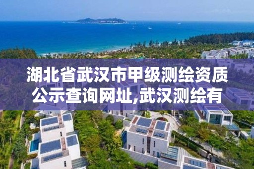 湖北省武漢市甲級測繪資質公示查詢網址,武漢測繪有限公司