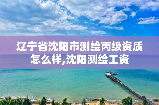 遼寧省沈陽(yáng)市測(cè)繪丙級(jí)資質(zhì)怎么樣,沈陽(yáng)測(cè)繪工資