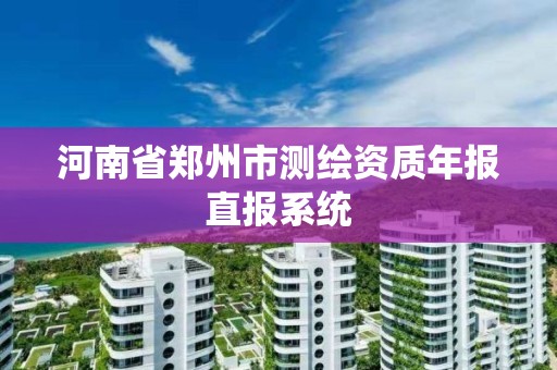 河南省鄭州市測繪資質年報直報系統