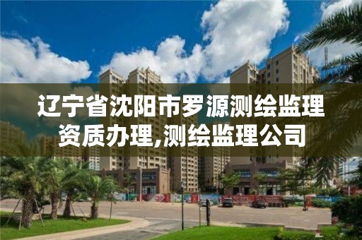 遼寧省沈陽市羅源測繪監理資質辦理,測繪監理公司