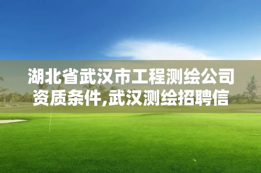 湖北省武漢市工程測繪公司資質條件,武漢測繪招聘信息