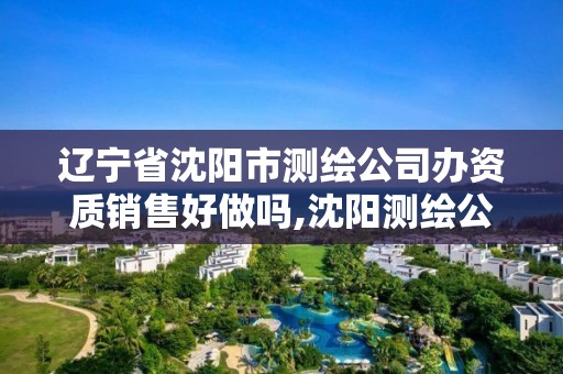 遼寧省沈陽市測繪公司辦資質銷售好做嗎,沈陽測繪公司有哪些。