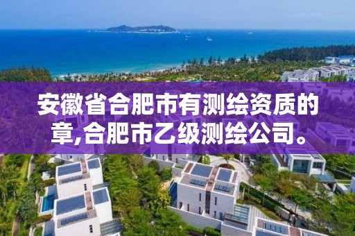 安徽省合肥市有測繪資質的章,合肥市乙級測繪公司。