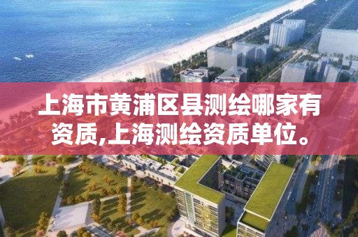 上海市黃浦區縣測繪哪家有資質,上海測繪資質單位。