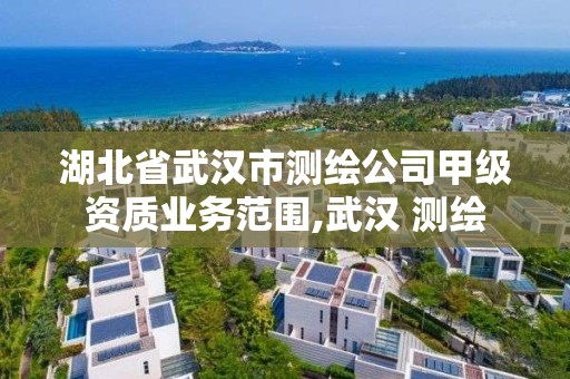 湖北省武漢市測繪公司甲級資質業務范圍,武漢 測繪