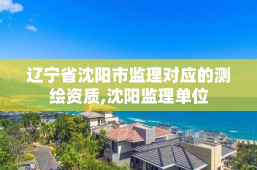 遼寧省沈陽市監理對應的測繪資質,沈陽監理單位