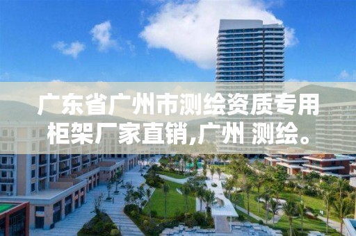 廣東省廣州市測繪資質專用柜架廠家直銷,廣州 測繪。