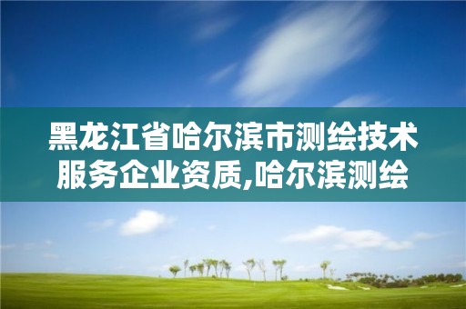 黑龍江省哈爾濱市測繪技術服務企業資質,哈爾濱測繪公司有哪些。