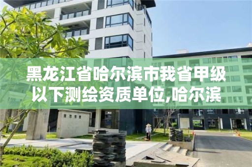 黑龍江省哈爾濱市我省甲級以下測繪資質單位,哈爾濱測繪局是干什么的