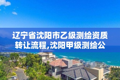 遼寧省沈陽市乙級測繪資質轉讓流程,沈陽甲級測繪公司