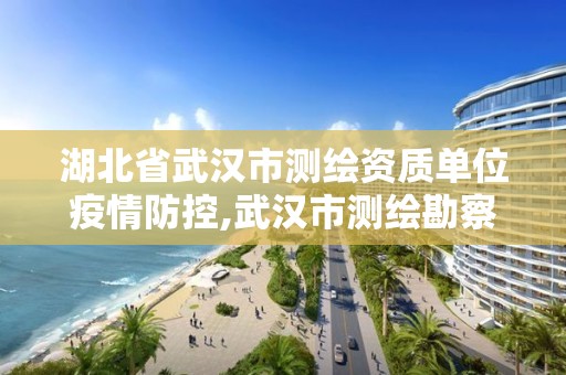 湖北省武漢市測繪資質(zhì)單位疫情防控,武漢市測繪勘察設(shè)計甲級資質(zhì)公司