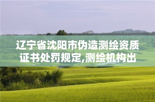 遼寧省沈陽市偽造測繪資質證書處罰規定,測繪機構出具虛假數據