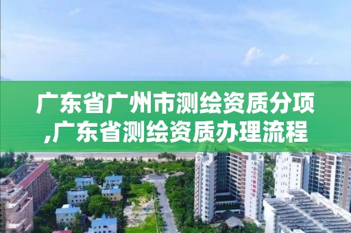 廣東省廣州市測繪資質分項,廣東省測繪資質辦理流程