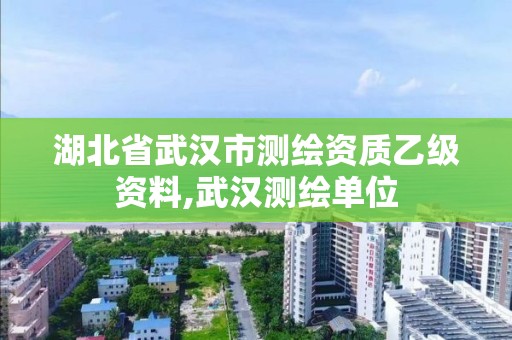 湖北省武漢市測繪資質乙級資料,武漢測繪單位