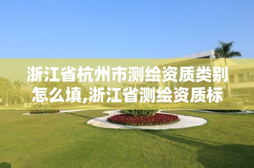 浙江省杭州市測繪資質類別怎么填,浙江省測繪資質標準