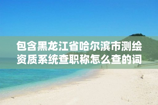 包含黑龍江省哈爾濱市測繪資質(zhì)系統(tǒng)查職稱怎么查的詞條