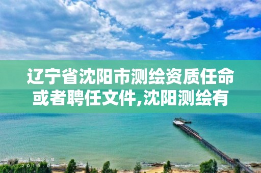 遼寧省沈陽市測繪資質任命或者聘任文件,沈陽測繪有限公司