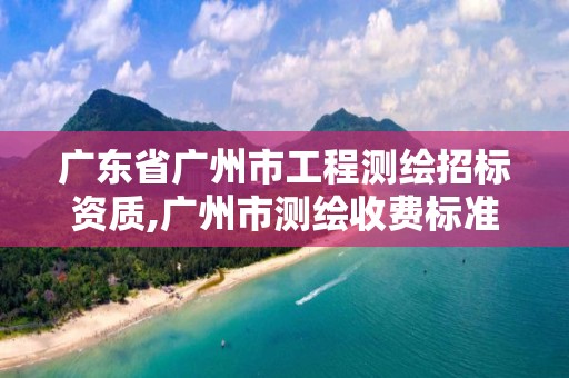 廣東省廣州市工程測繪招標資質,廣州市測繪收費標準