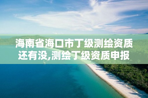 海南省海口市丁級測繪資質還有沒,測繪丁級資質申報條件