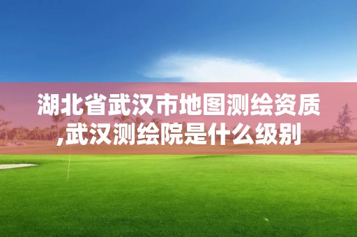 湖北省武漢市地圖測繪資質,武漢測繪院是什么級別