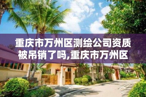 重慶市萬州區測繪公司資質被吊銷了嗎,重慶市萬州區測繪公司資質被吊銷了嗎知乎。