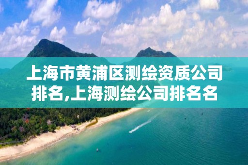 上海市黃浦區測繪資質公司排名,上海測繪公司排名名單