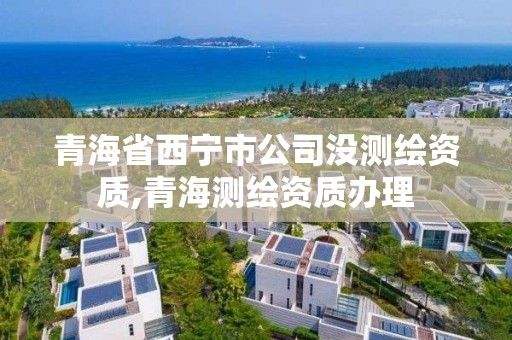 青海省西寧市公司沒測繪資質,青海測繪資質辦理