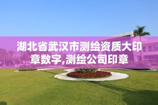 湖北省武漢市測繪資質大印章數字,測繪公司印章