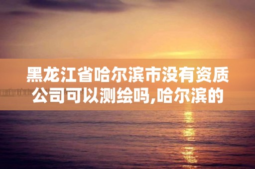 黑龍江省哈爾濱市沒有資質公司可以測繪嗎,哈爾濱的測繪公司有哪些