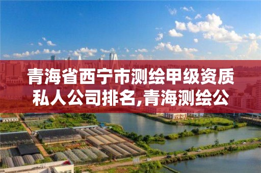 青海省西寧市測繪甲級資質私人公司排名,青海測繪公司有哪些