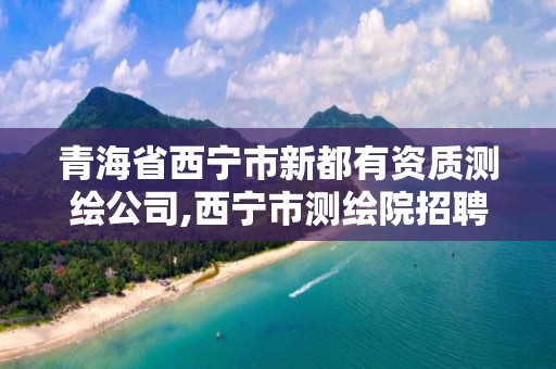 青海省西寧市新都有資質測繪公司,西寧市測繪院招聘公示