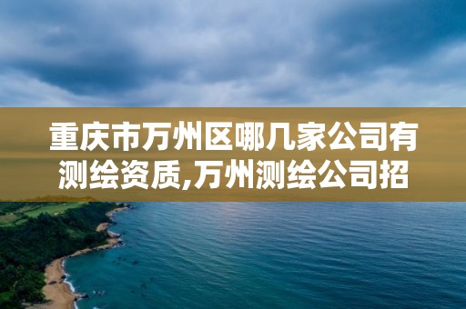 重慶市萬州區哪幾家公司有測繪資質,萬州測繪公司招聘。