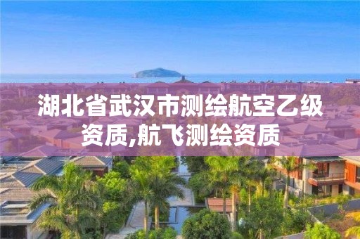 湖北省武漢市測繪航空乙級資質,航飛測繪資質