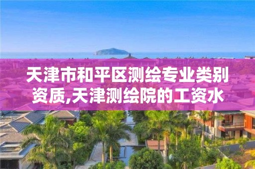 天津市和平區測繪專業類別資質,天津測繪院的工資水平