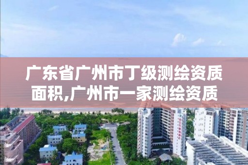 廣東省廣州市丁級測繪資質面積,廣州市一家測繪資質單位