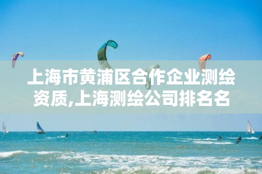 上海市黃浦區(qū)合作企業(yè)測繪資質(zhì),上海測繪公司排名名單