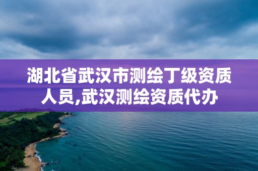 湖北省武漢市測繪丁級資質人員,武漢測繪資質代辦