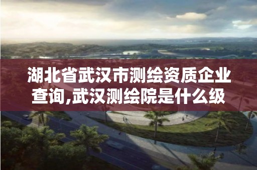 湖北省武漢市測繪資質企業(yè)查詢,武漢測繪院是什么級別